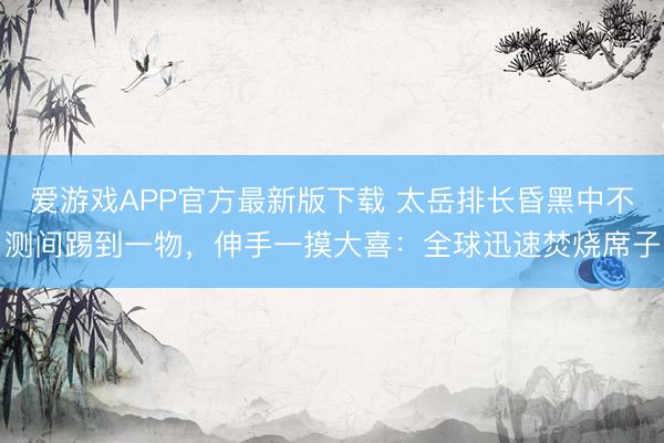 爱游戏APP官方最新版下载 太岳排长昏黑中不测间踢到一物,伸手一摸大喜:全球迅速焚烧席子