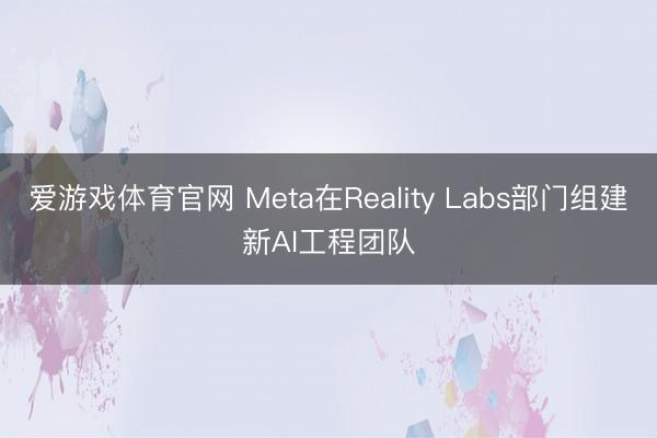 爱游戏体育官网 Meta在Reality Labs部门组建新AI工程团队