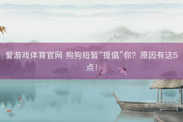 爱游戏体育官网 狗狗短暂“提倡”你?原因有这5点!