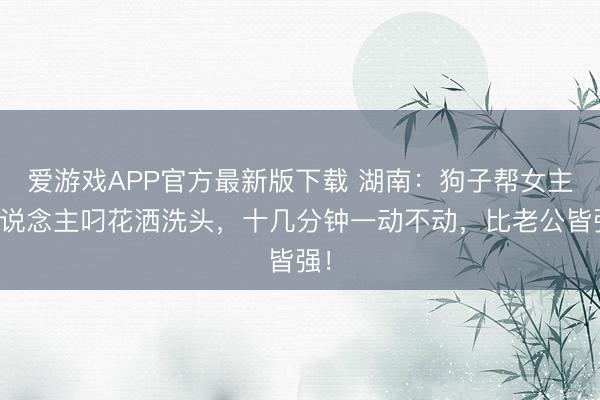 爱游戏APP官方最新版下载 湖南：狗子帮女主东说念主叼花洒洗头，十几分钟一动不动，比老公皆强！