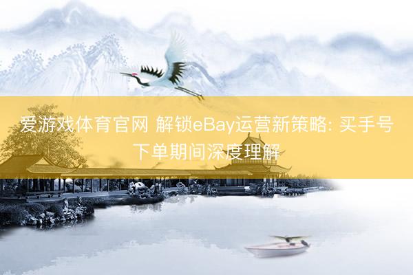 爱游戏体育官网 解锁eBay运营新策略: 买手号下单期间深度理解