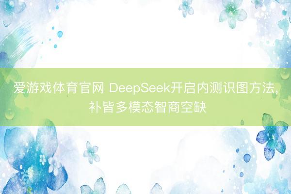 爱游戏体育官网 DeepSeek开启内测识图方法， 补皆多模态智商空缺