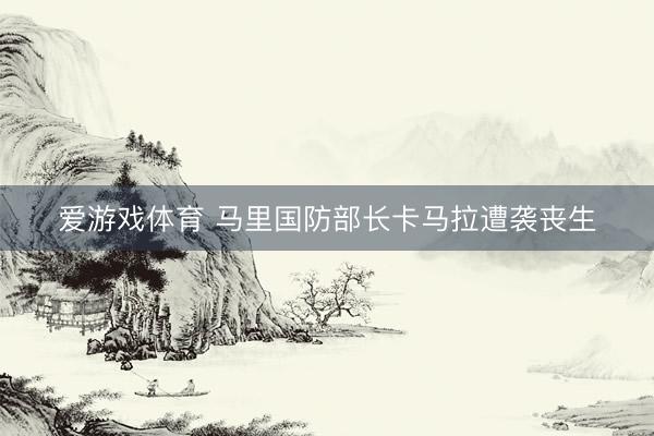 爱游戏体育 马里国防部长卡马拉遭袭丧生