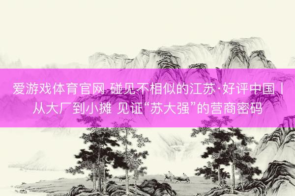 爱游戏体育官网 碰见不相似的江苏·好评中国丨从大厂到小摊 见证“苏大强”的营商密码